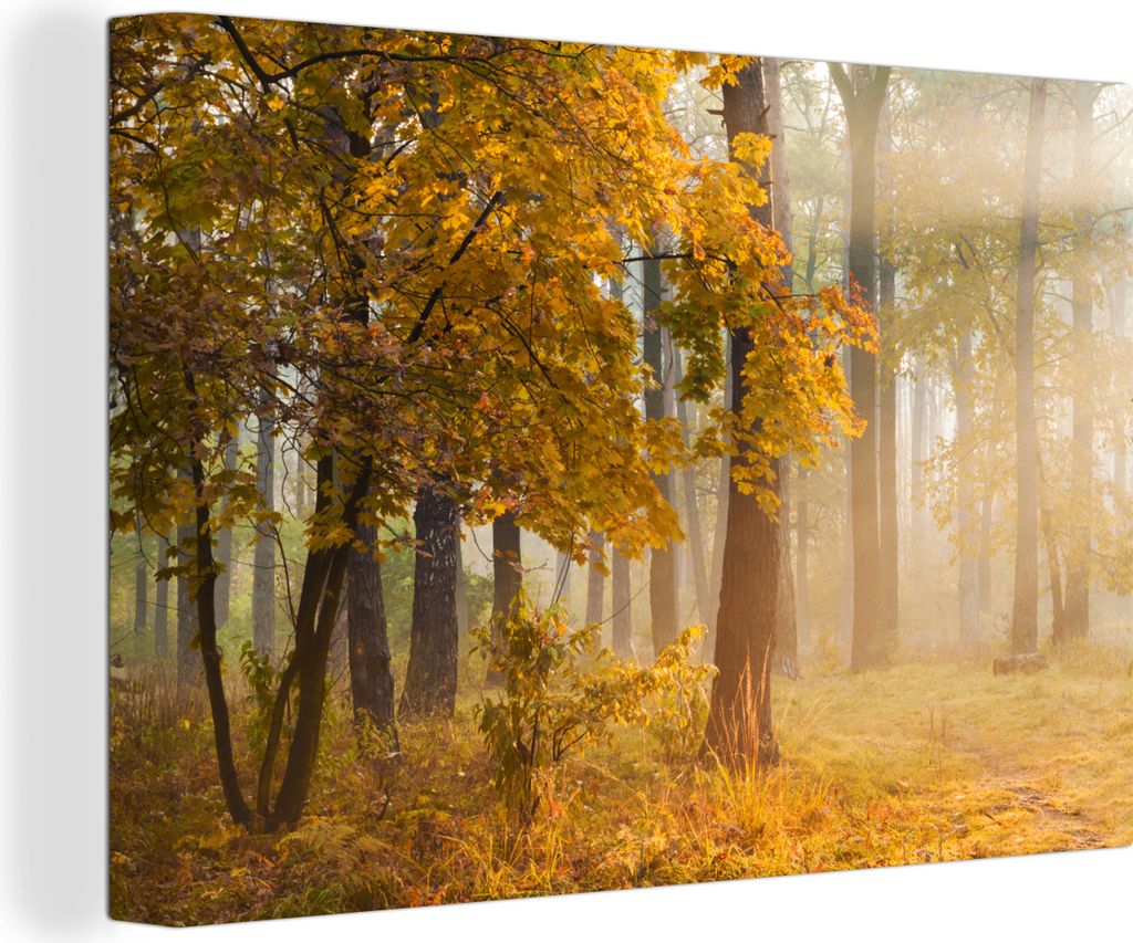 OneMillionCanvasses - Leinwandbilder - 150x100 cm, Licht - Bäume - Laub, Wandbilder Kunstdruck Wanddekoration