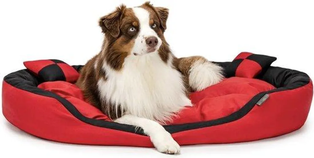 Couchage pour chien confortable 110 x 80 cm idéal pour grands chiens