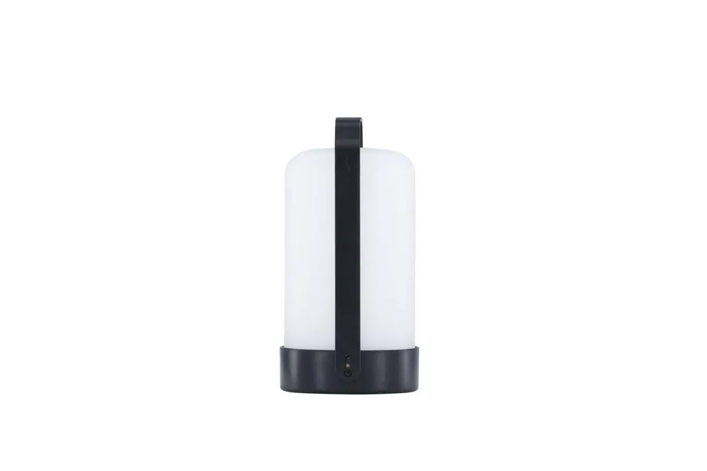 Fern Lampe Extérieure LED Noire Rechargeable avec Intensité Variable IP54