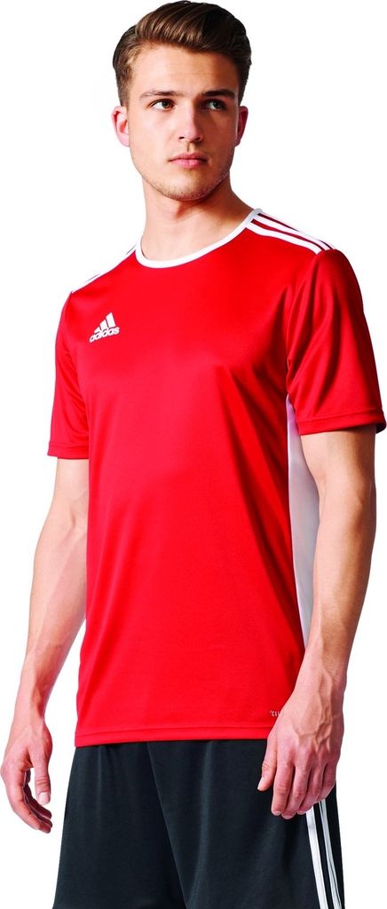 Adidas Koszulki Entrada 18, CF1038, Größe: 176 Zdjęcie produktu 15