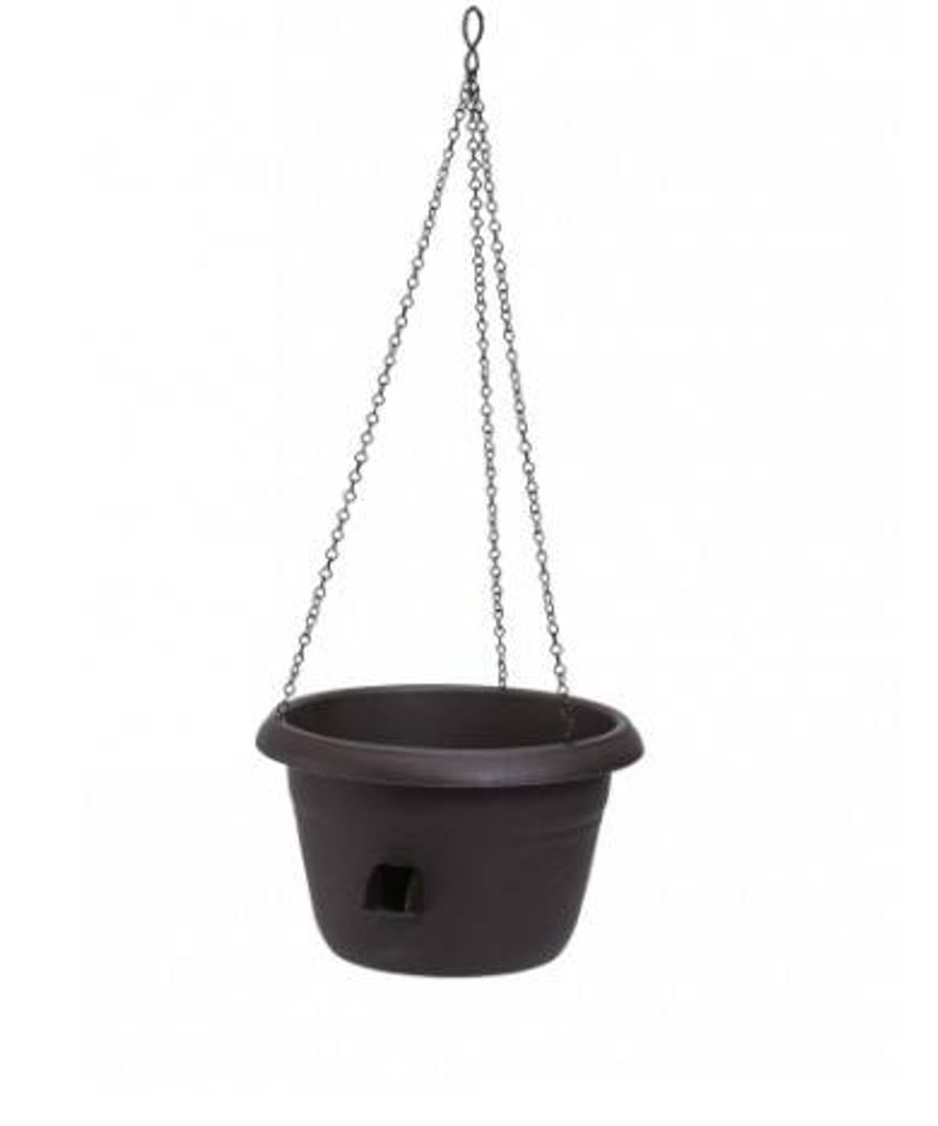 SIESTA samooplodňujúca závesná žaba d25x16cm Obrázok produktu 