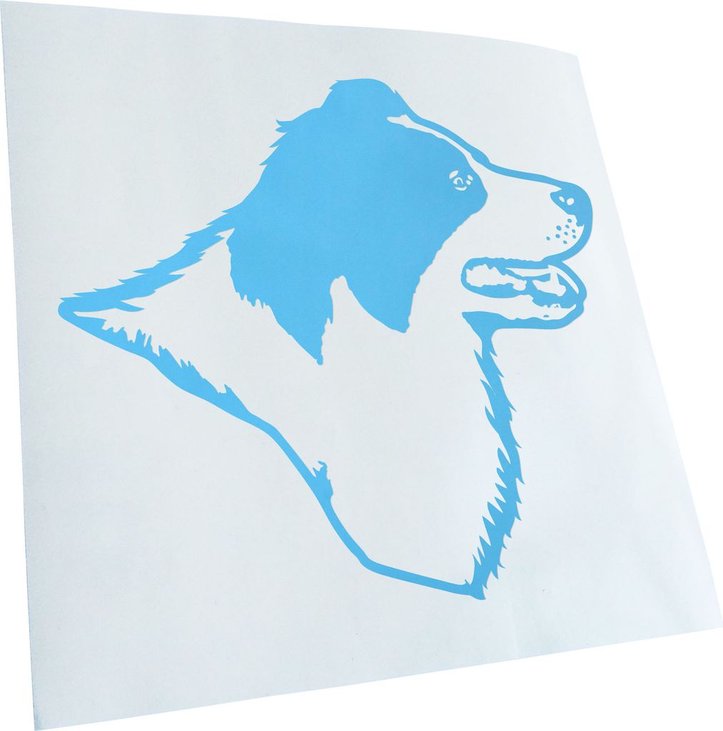 Kiwistar - Autoaufkleber - Border Collie Hund - Lichtblau - 60x55cm - Aufkleber für Auto, Laptop, Fahrrad, LKW, Motorrad mehrfarbig JDM Decal Racing