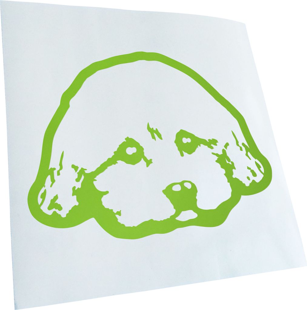 Kiwistar - Autoaufkleber - yorkie poo Hund - Lindgrün - 30x21cm - Aufkleber für Auto, Laptop, Fahrrad, LKW, Motorrad mehrfarbig JDM Decal Racing