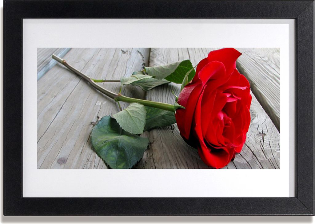 Bild 30x20 MDF-Rahmen Wandkunst Rosen Blumen