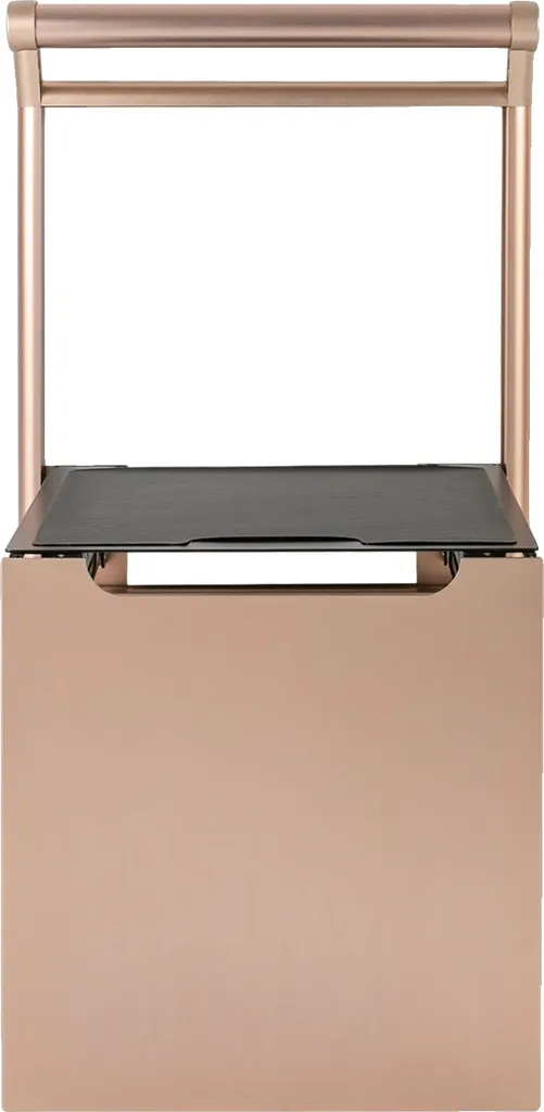 Siège de douche pliable or mural avec grande capacité de charge max