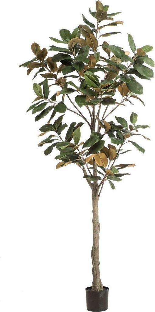 artplants.de Deko Yulan-Magnolie BELLITA, Dekostamm, grün-Olive, 210cm - Kunst Magnolie