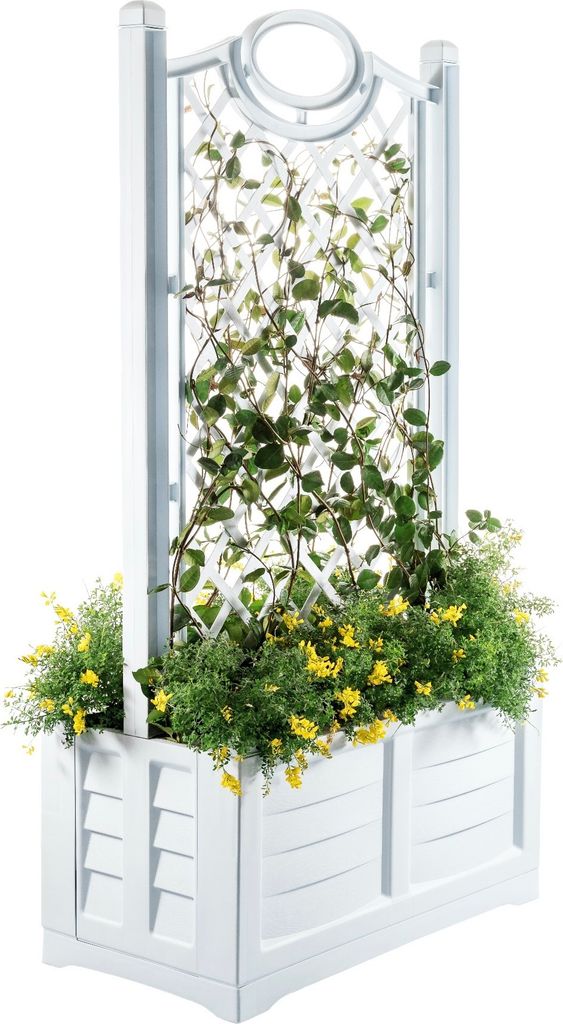 A white planter box with a trellis, filled with green plants and yellow flowers.