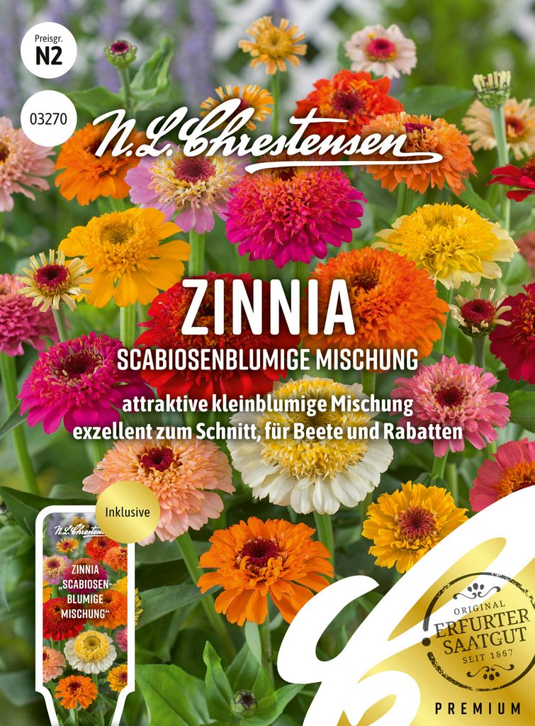 Zinnia Scabiosenblumige Mischung | Zinniensamen von N.L. Chrestensen