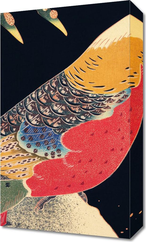 Bild 30x50cm Goldfasan, Japanisches Jakuchu Vintage
