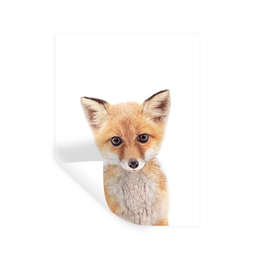 MuchoWow Wandtattoo Wandsticker Wandaufkleber Fuchs - Tiere - Orange - Natur 60x80 cm Selbstklebend und Repositionierbar - Repositionierbar - Was...