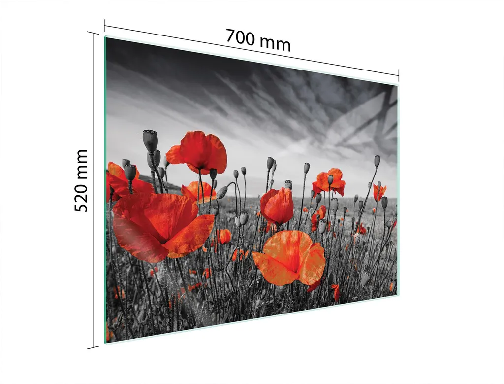 Pannello Vetro Maki 70X52 per Cucina - Protezione e Arredo Elegante