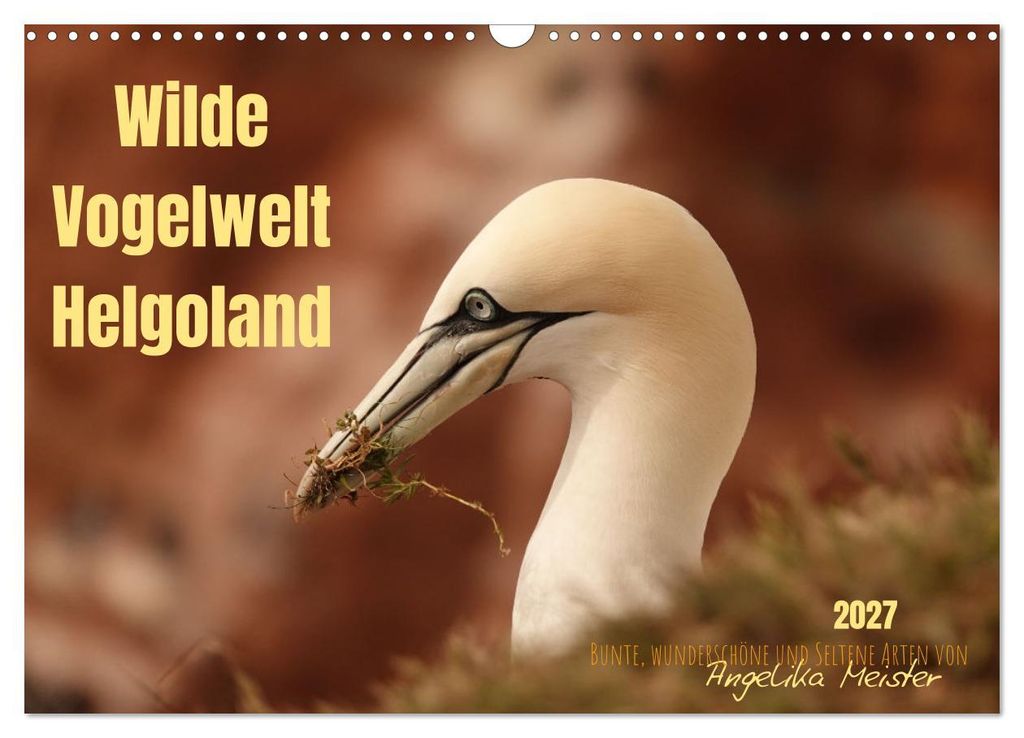 Wilde Vogelwelt Helgoland (Wandkalender 2027 DIN A3 quer), CALVENDO Monatskalender