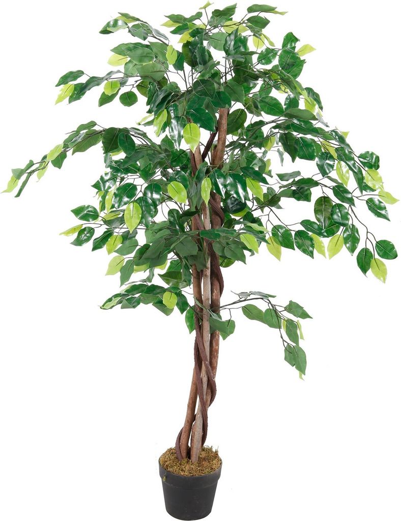 LEX künstliche Pflanze Ficus 462 Blätter ca. 115 cm Produktbild 