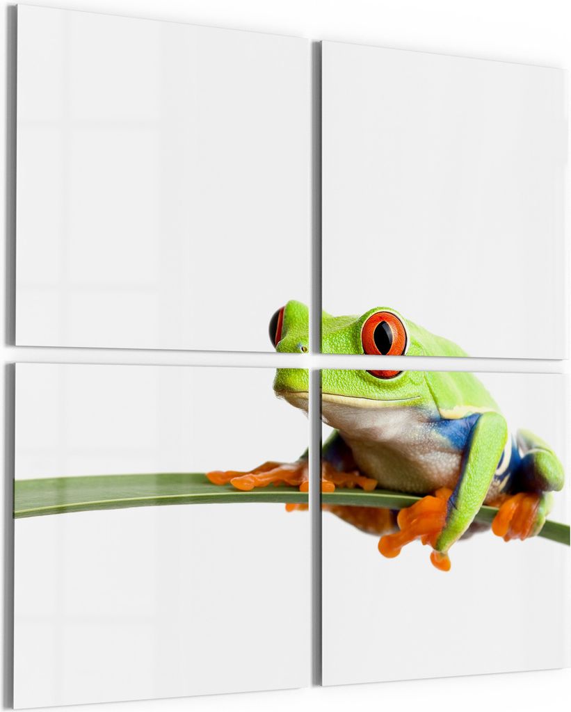 DEQORI Glasbild Echtglas 4x50x50 cm 'Neugieriger Frosch' Wandbilder XXL groß