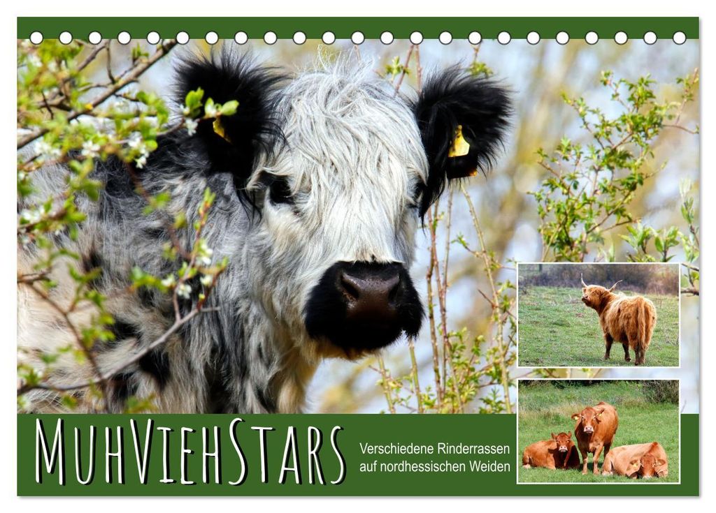 MuhViehStars (Tischkalender 2027 DIN A5 quer), CALVENDO Monatskalender