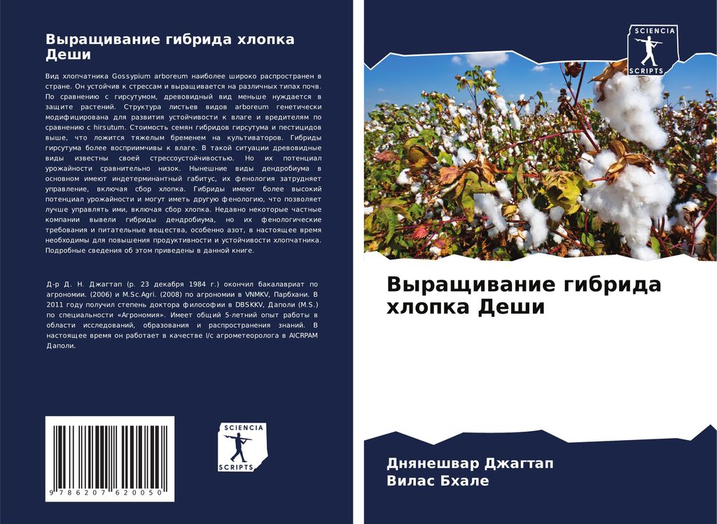 Vyraschiwanie gibrida hlopka Deshi