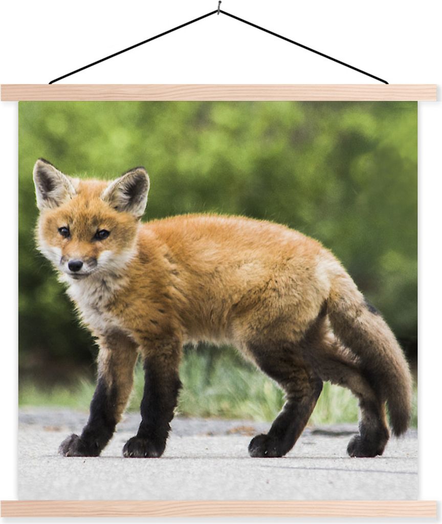 MuchoWow Textilposter Fuchs - Welpe - Straße 60x60 cm mit holzfarbenen Rahmen - Wanddekoration