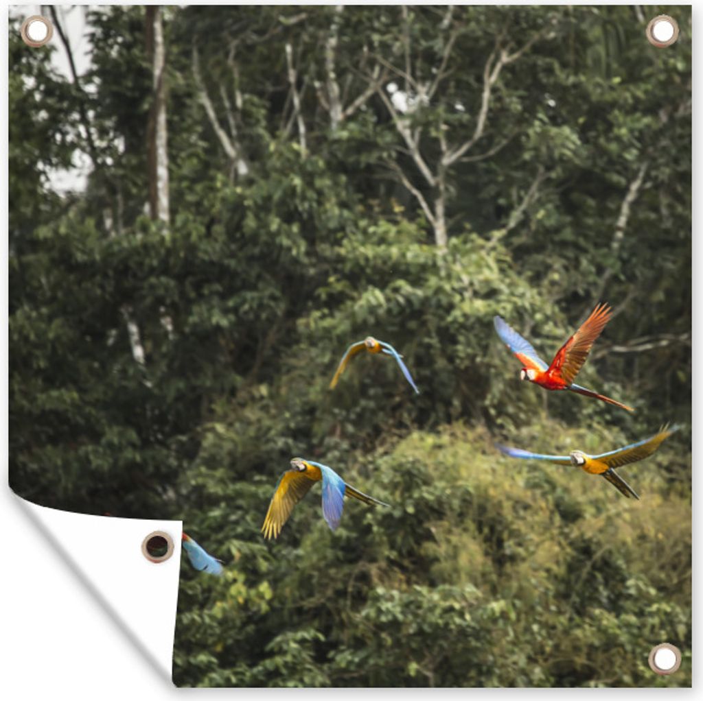 MuchoWow 100x100 cm Outdoor-Poster Gartendeko Sichtschutz Garten Poster für den Garten Papageien - Fliegen - Wald