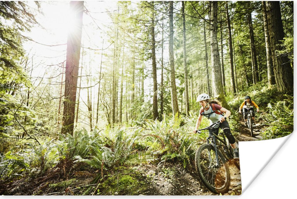 MuchoWow Poster Zwei Frauen auf einem Mountainbike durch den Wald 180x120 cm - Fotoplakat