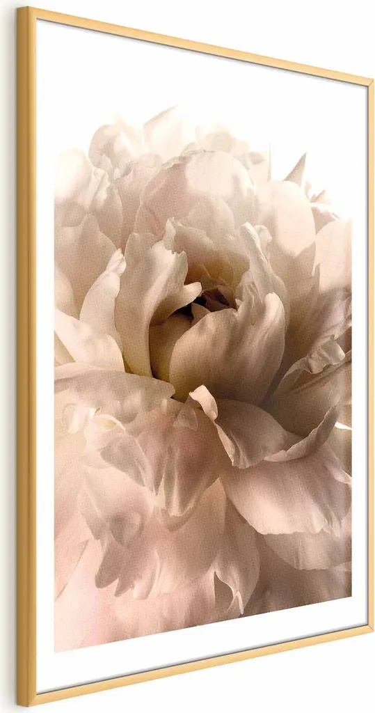Poster Petali morbidi 40x60 cm con cornice dorata con margine
