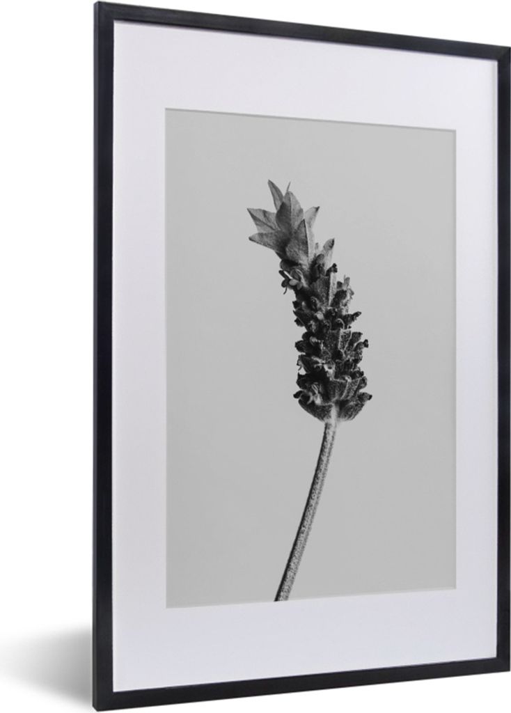 MuchoWow MuchoWow Gerahmtes Poster Abstrakter Lavendel in Schwarz und Weiß 40x60 cm - Poster mit zchwarzem Bilderrahmen - Poster in Rahmen