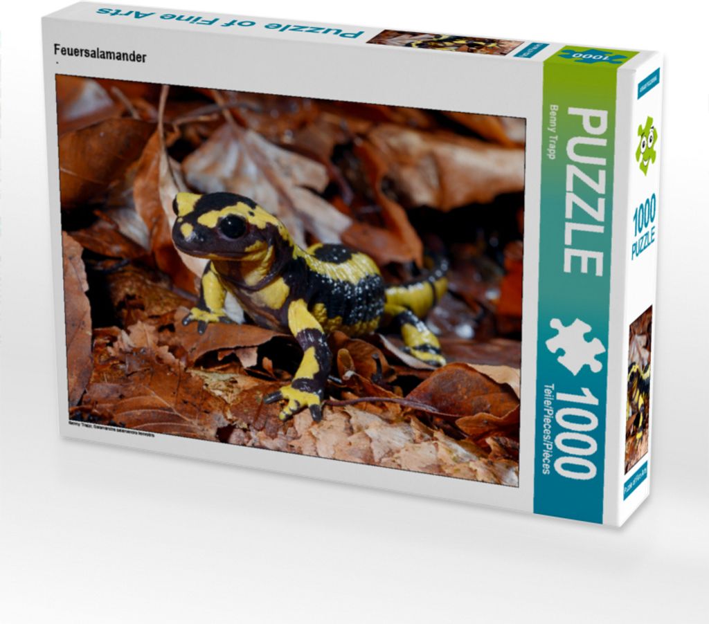CALVENDO Puzzle Feuersalamander | 1000 Teile Lege-Größe 64x48cm Foto-Puzzle für glückliche Stunden