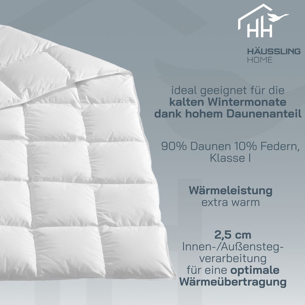 HÄUSSLING HOME Winter Daunendecke 155x220 cm