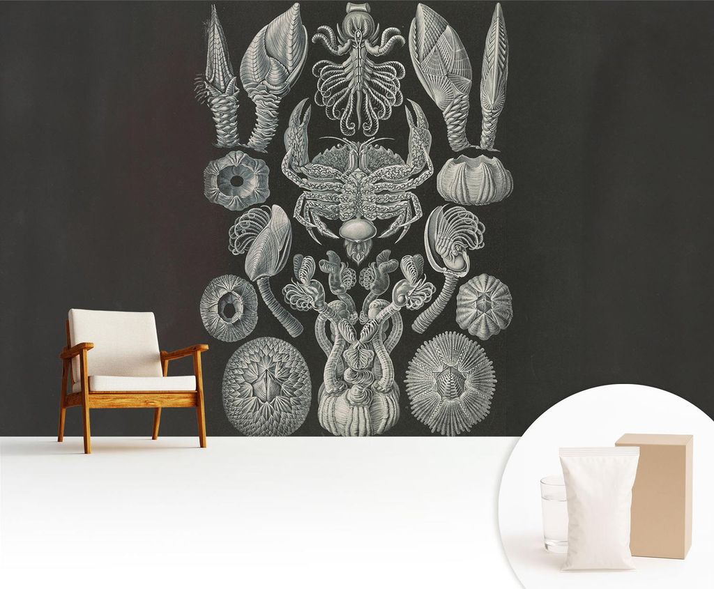 Fototapete - 416x254 cm - Tapete - Wandtapete - Wandbilder - Dekofolie - Tapete Folie - Wand - Dekoration - Wohnzimmer - Unterwasserformen