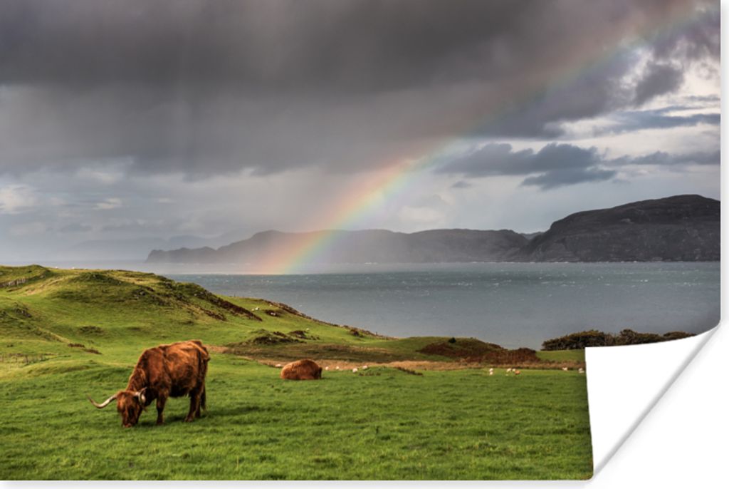 MuchoWow Poster Schottische Highlander - Gras - Wolken 30x20 cm - Plakate - Print