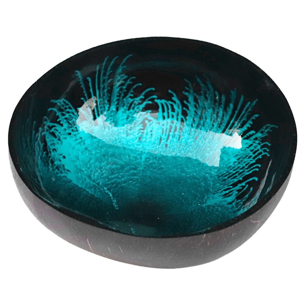 Key Storage Tably Coconut Bowl Shell Home Decoration Salat Behälterbehandlung-Blau