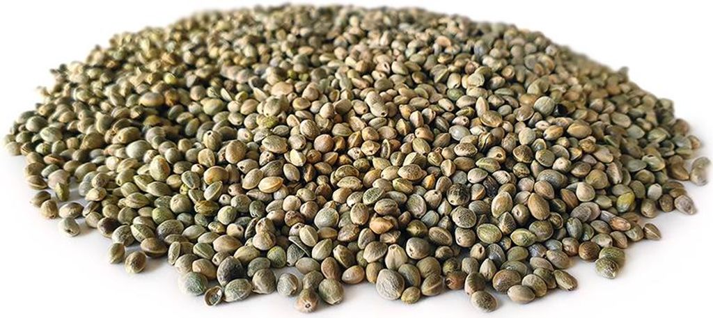 Hanfsamen 2,5KG | Karpfen futter