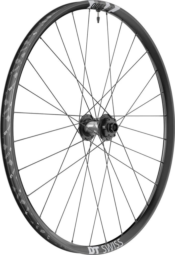 Roue VTT Descente DT Swiss F 1900 Classic 29 pouces Axe 20x110mm IS