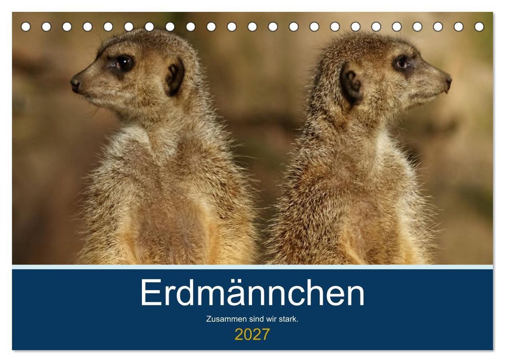 Erdmännchen - Zusammen sind wir stark (Tischkalender 2027 DIN A5 quer), CALVENDO Monatskalender