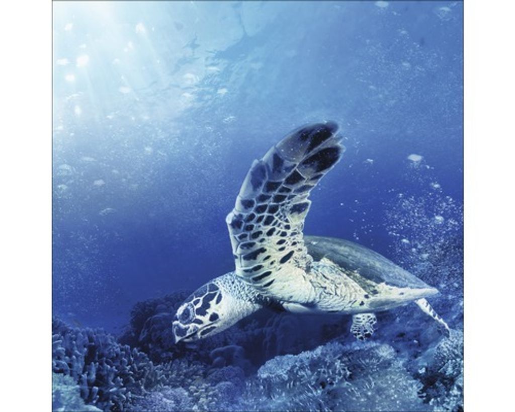 Glasbild Blue Sea I 50x50 cm