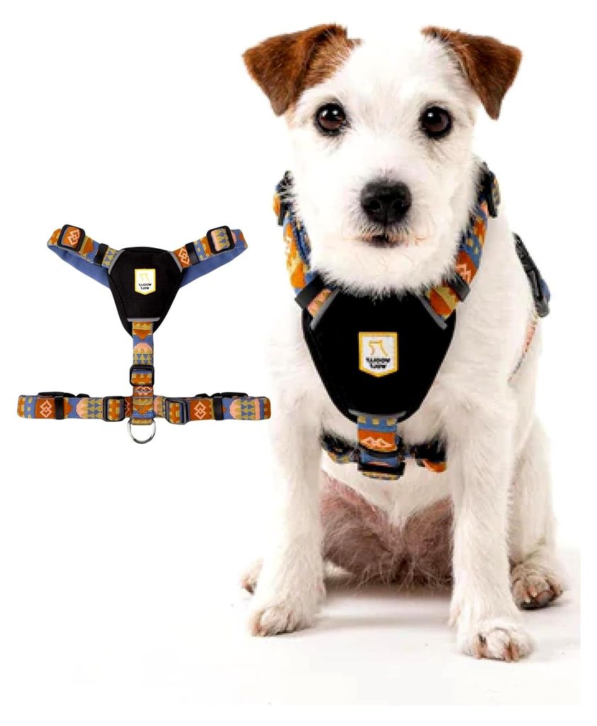 Hundegeschirr S - Geschirr für kleine Hunde aus recyceltem Polyester, optimale Passform und Reflektoren für bessere Sichtbarkeit
