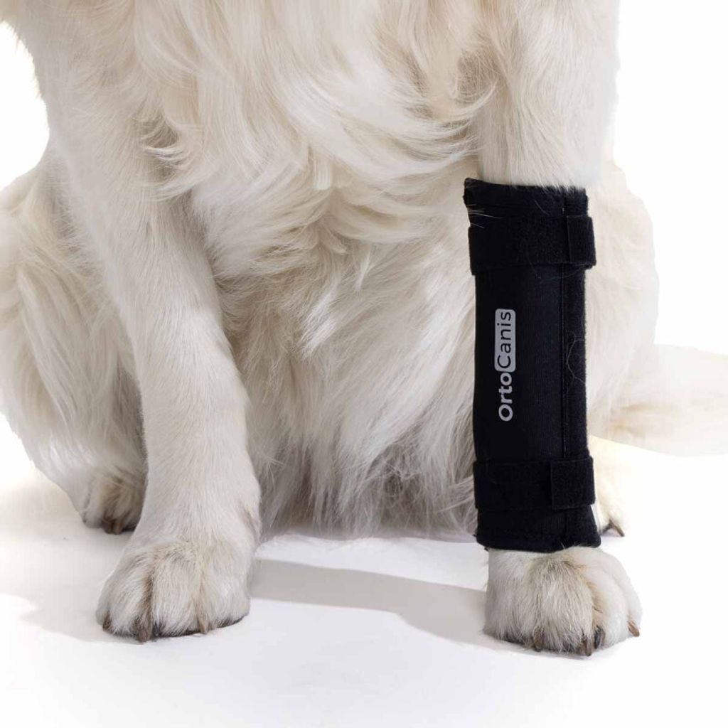 ADNIKIA Hunde-Angstweste – Beruhigender Druck, Verstellbar, Größe M, Dunkelgrau, Für Feuerwerk & Tierarztbesuche