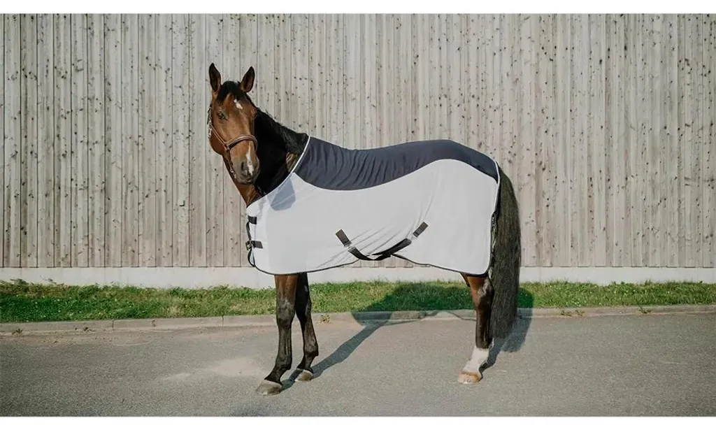 Protection cheval pour l'été : Couverture Equitheme Flycool 135-183 cm