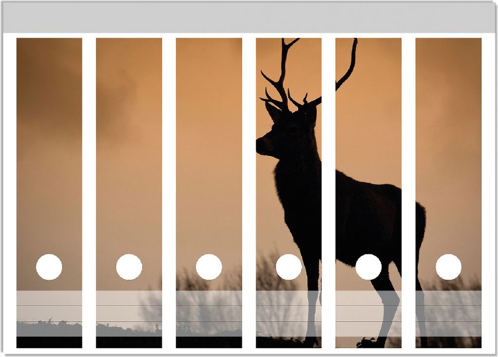 Wallario Ordnerrücken Sticker, selbstklebend für breite Ordner, 6 Stück, Motiv Rothirsch am Abend