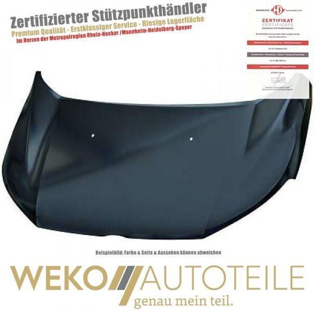 Motorhaube DIEDERICHS 1480000 für FORD