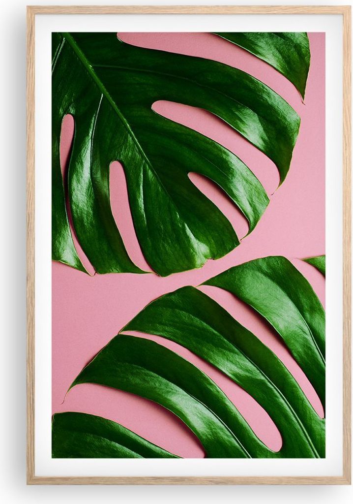 Gerahmtes Poster - Rahmen in heller Eiche - Monstera Blatt Rosa - 61x91,5 cm - Wand Bild - Wanddeko - Wandbilder - Kunstposter - Wandposter - Bilde...