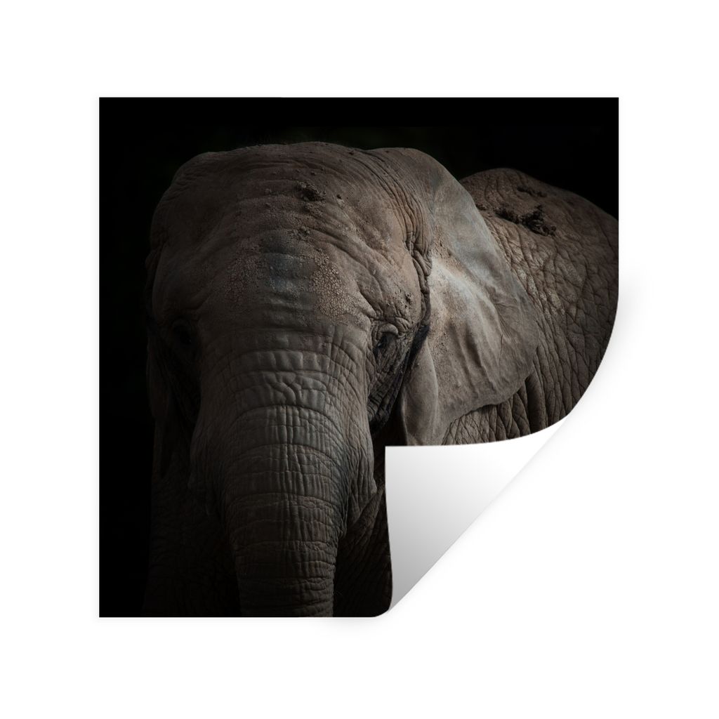 MuchoWow Wandtattoo Wandsticker Wandaufkleber Elefant - Porträt - Tiere - Schwarz 50x50 cm Selbstklebend und Repositionierbar - Selbstklebend - ...