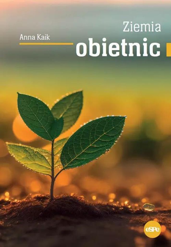 Ziemia obietnic - Anna Kaik (Buch auf Polnisch)
