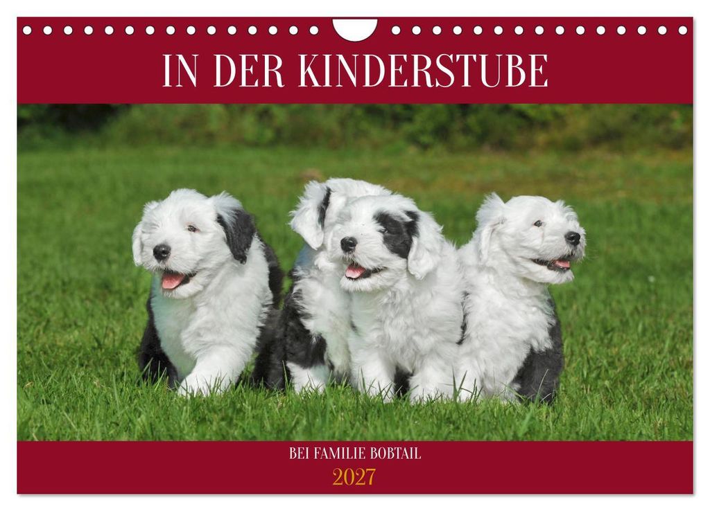 In der Kinderstube bei Familie Bobtail (Wandkalender 2027 DIN A4 quer), CALVENDO Monatskalender