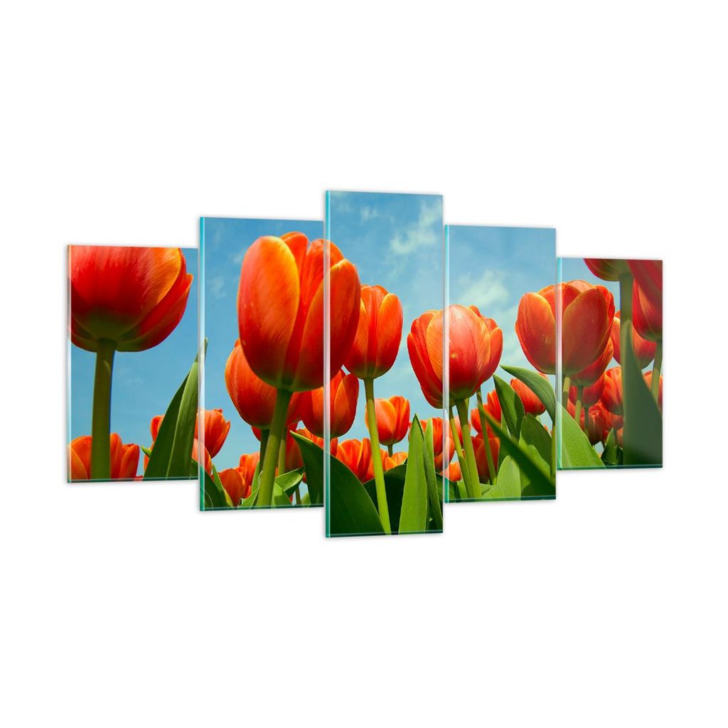 Bilder auf glas - Tulpe Blume blauer Himmel - 160x85cm - Glasbilder - Wandbilder - Kunstdruck - zum Aufhängen bereit - Wanddekoration aus Glas - G...