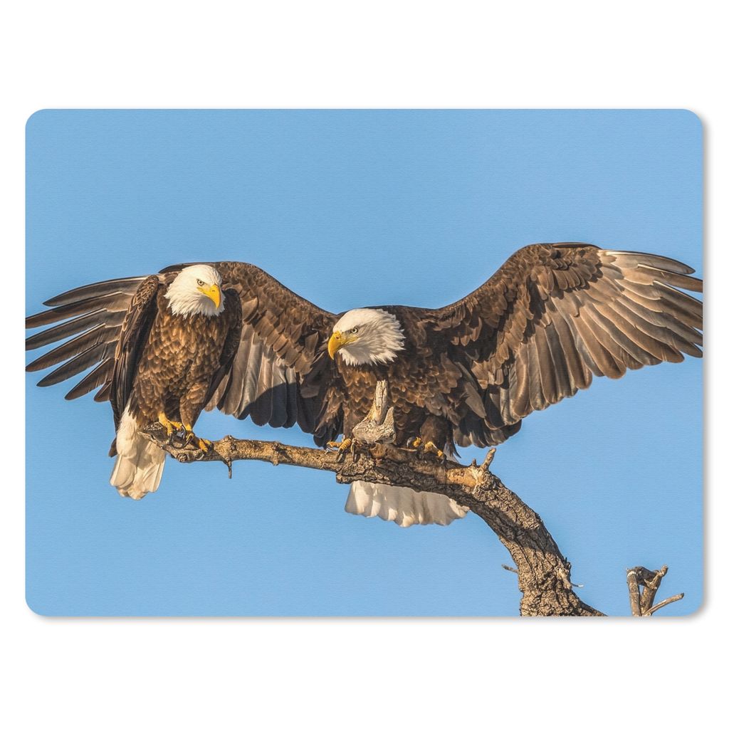 MuchoWow Mauspad Mousepad Vogel - Äste - Adler - Raubvögel - Luft 40x30 cm - Mousepads - Maus Mat - Pad - Mausunterlage - Anti Rutsch