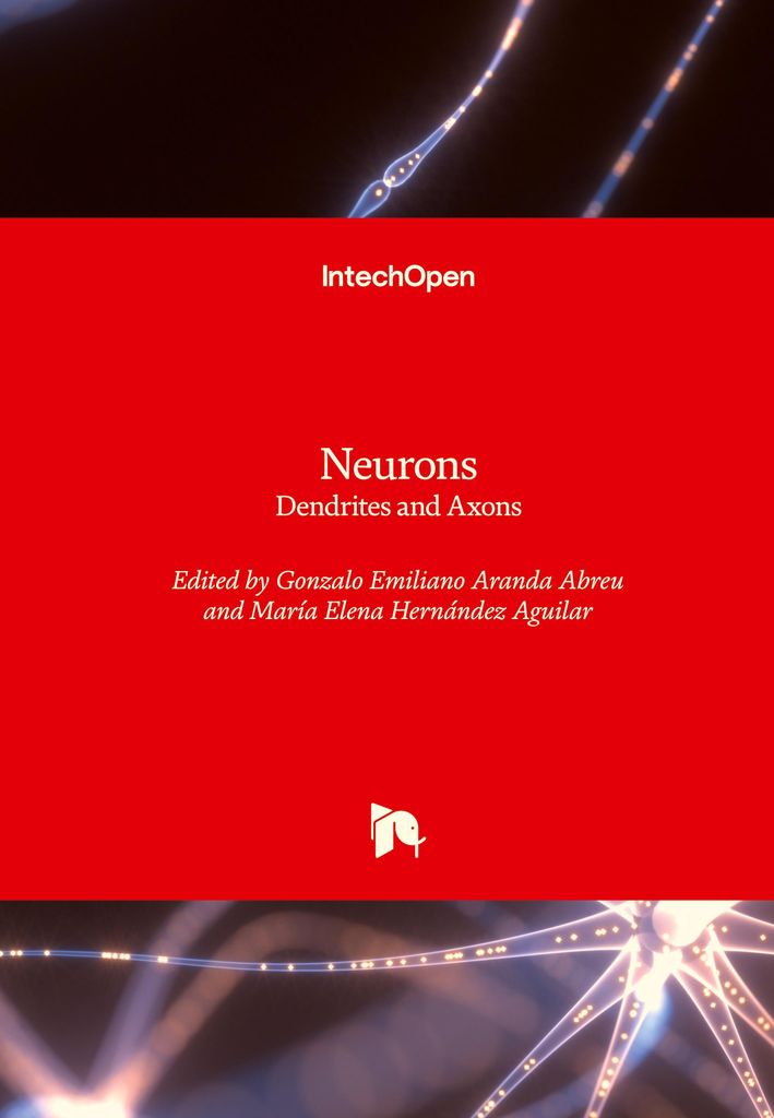 Neurons