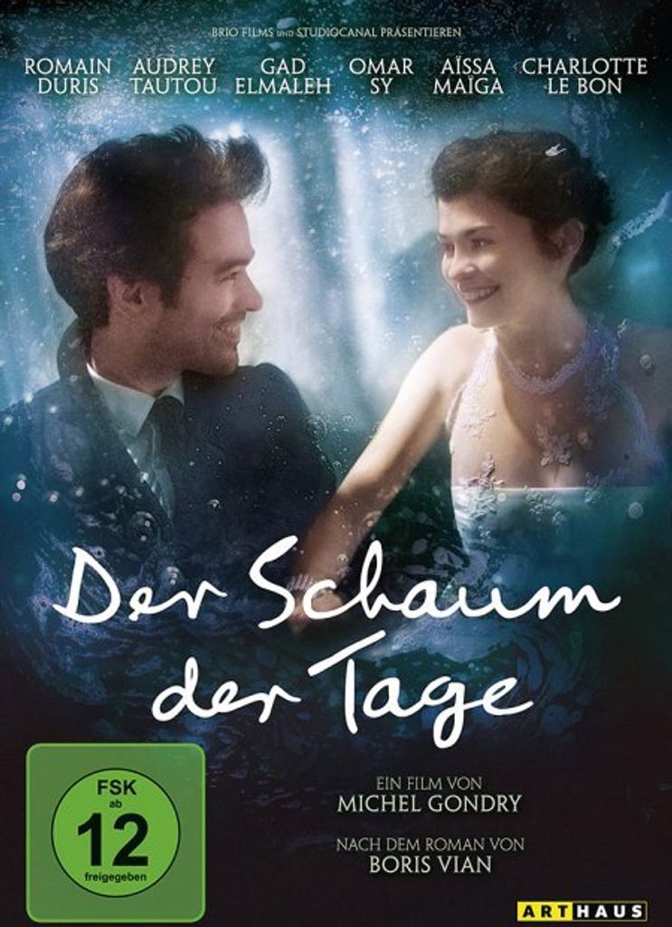 Der Schaum der Tage