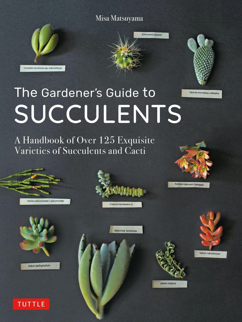 Gardeners Guide To Succulents – Lingua: Inglese