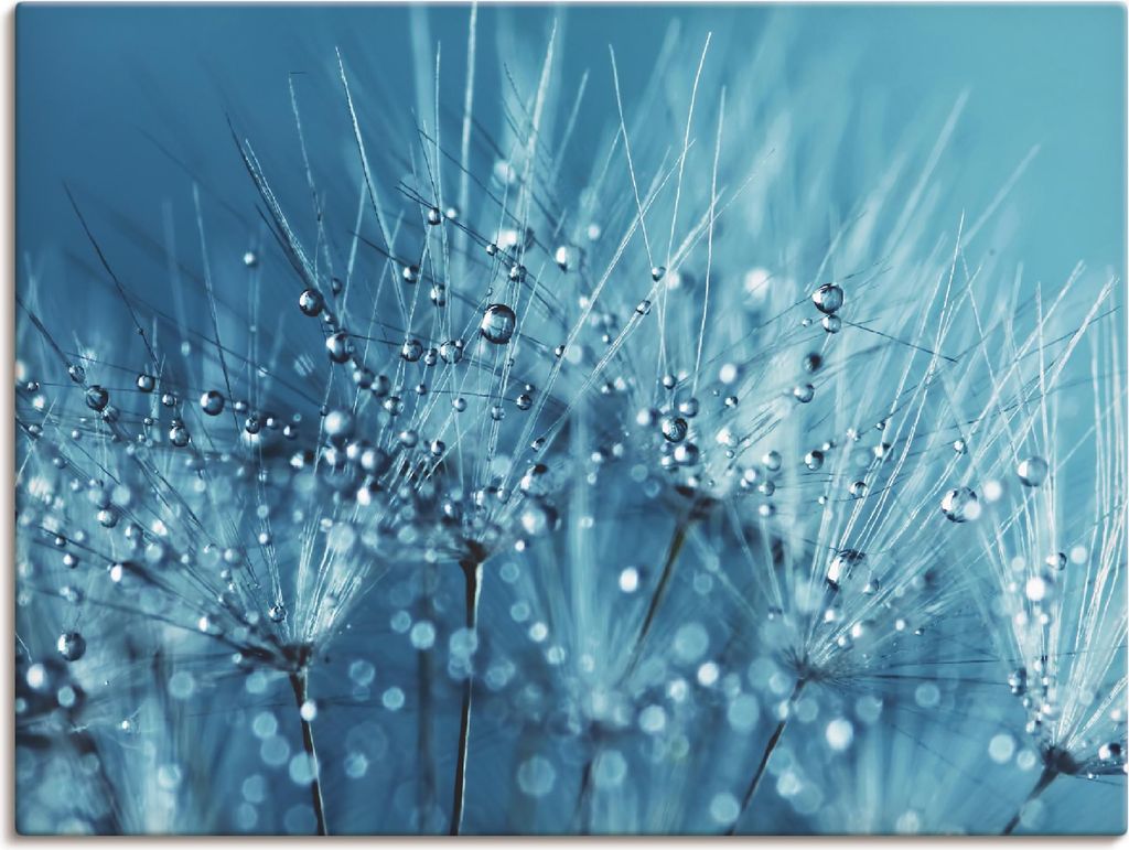 ARTland Leinwandbild Blaue glitzernde Pusteblume Größe: 120x90 cm