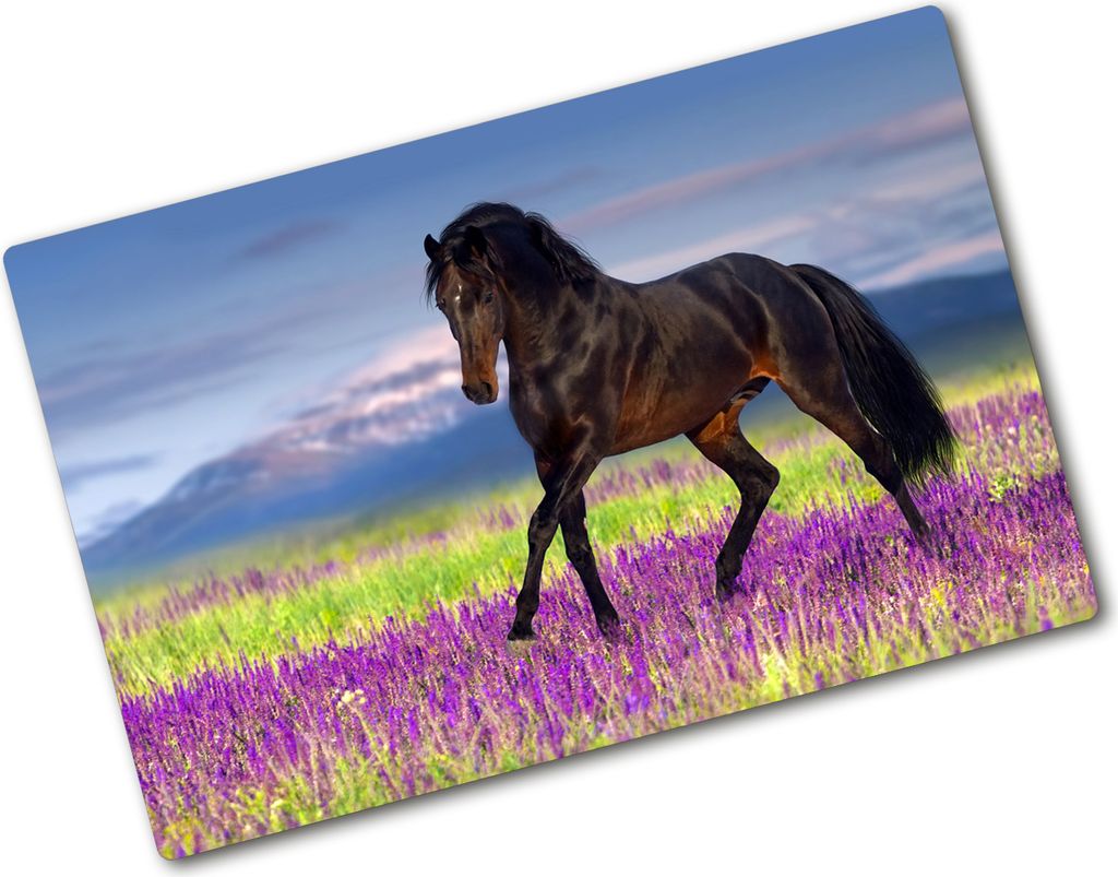 Tulup Glas Herdabdeckplatte - 80x52 cm - Glaskeramikkochfeld-Abdeckung Spritzschutz Glasabdeckplatte - Einteilig - Tiere - Pferd Lavendelfeld - Braun